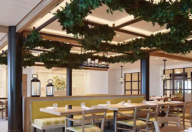 The Olive Grove - Included