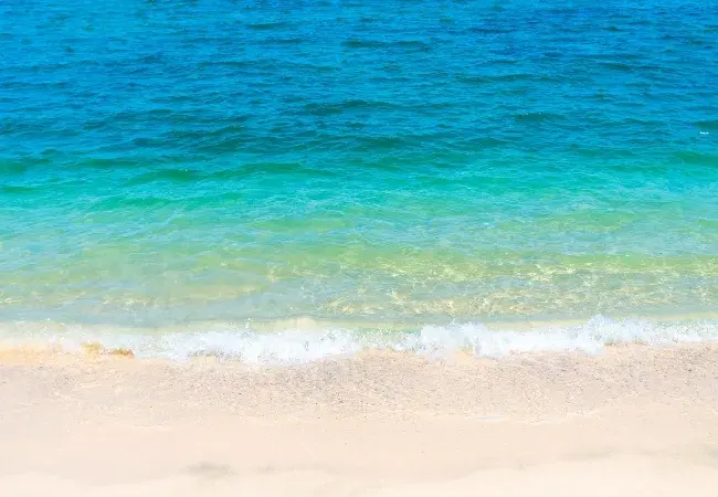 Festivals of the World Experience the great global celebrations