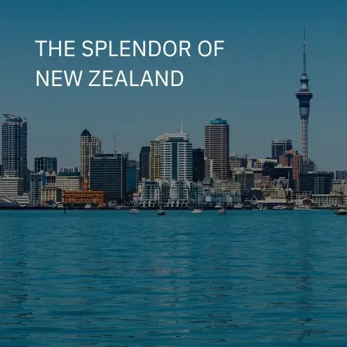 The Splendor of New Zealand